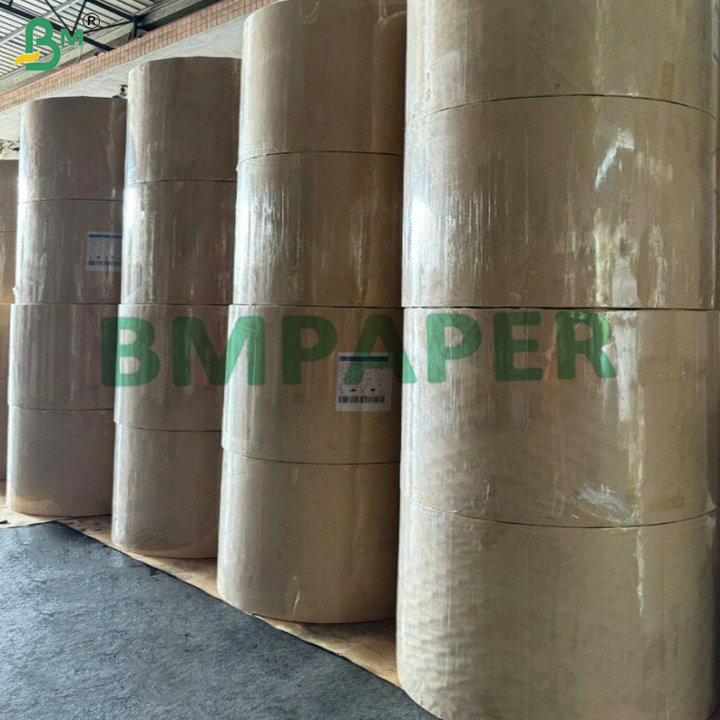 170-400 gsm PLA Coated Cupstock Paper Compostable Paperboard for Hot & Cold Beverage Cups