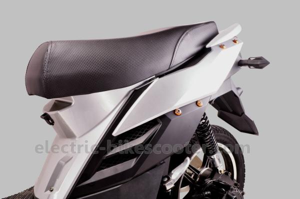 Electric Moped Pedal Assisted Electric Scooter 250W Gear Motor Disc Brake 48V 20Ah Battery