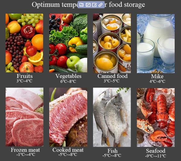 340L Workbench Refrigerator For Fresh Food R134A R22