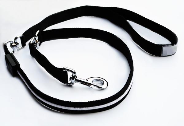 Waterproof LED Dog Leash Premium Nylon High Safety Extra Long 51 Inches