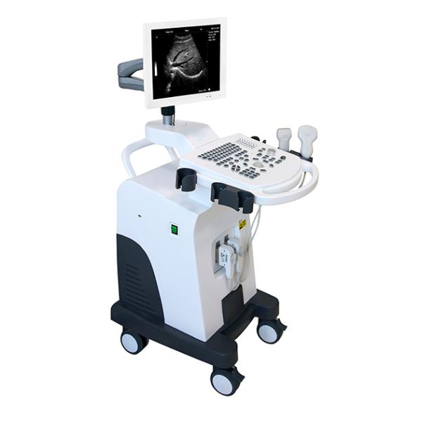 Trolley Ultrasound Machine Echo Price