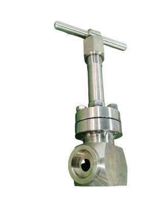PN320 DN10 To DN100 Cryogenic Globe Valve SS304 / 316 SW Connection For LNG