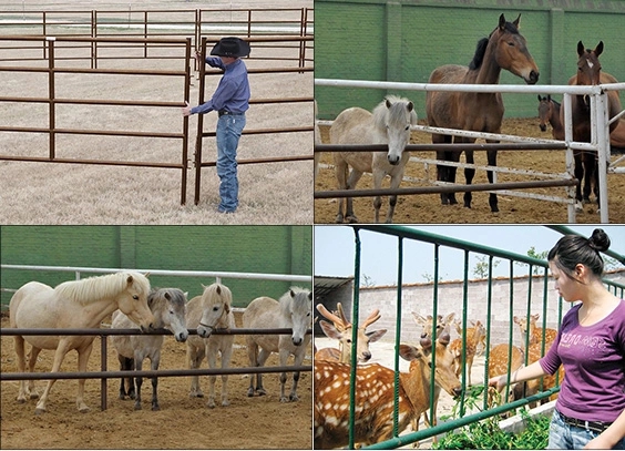 Hot Dipped Galvanized Corral Panel Fence Used Horse Panels With Long Life