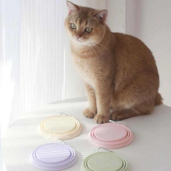Taça de viagem dobrável portátil livre de BPA para animais de estimação, comida para gatos, água para acampar