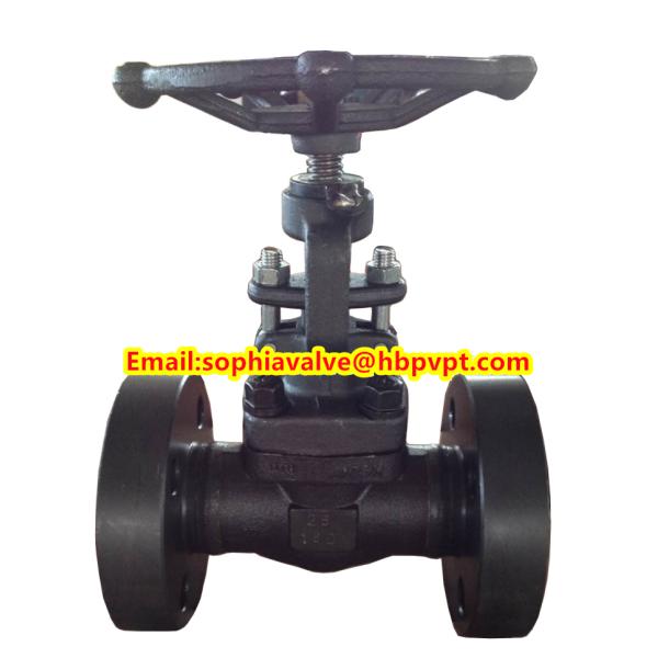 ANSI A105N forged gate valve