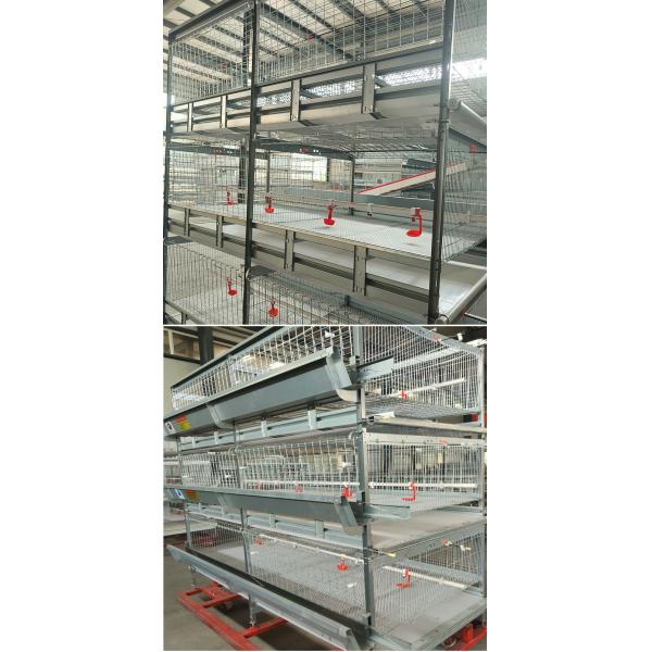 тип птицы ISO9001 100kgs h системы 120 клетки цыпленка бройлера батареи перечислил