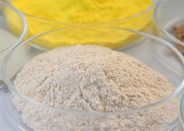 Enzimas de hemicellulase de papel Enzimas industriais utilizadas na indústria de celulose e papel