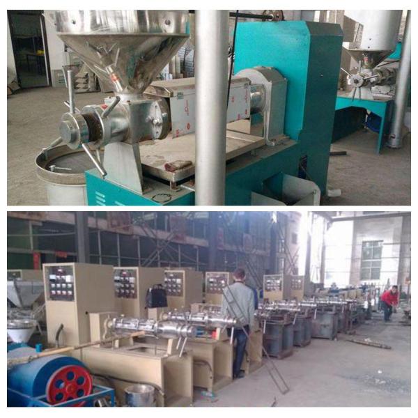 Max Capacity 300 kg/h 6yl Pomegranate Seed Oil Extraction Machine Jatropha Oil Press Machine with Oil Vacuum Filter 98%-100%