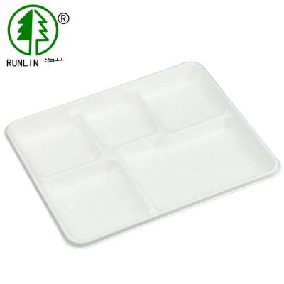 Bandejas biodegradáveis do alimento do fast food