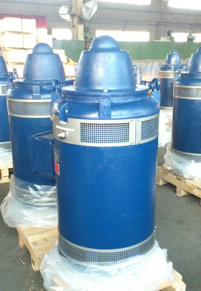 350HP 400HP 450HP 500HP 600HP Vertical Hollow Shaft Motor IEC / NEMA standard