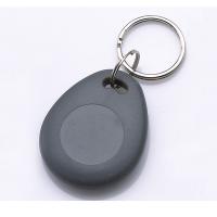 125 kHz RFID Tag Chain Key Auid Programável Reescritível EM4305 RFID Keyfob T5577 Keytag