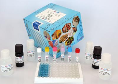 Deoxynivalenol (DON) Column Kit Mycotoxin ELISA Kit For Food and Feed Analysis