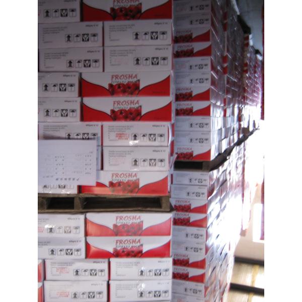 3000g tomato paste in can