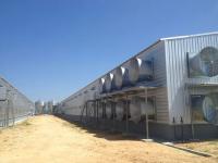 High Rise Steel Building Construction For Poultry House Bolts Connection And Customizable Design