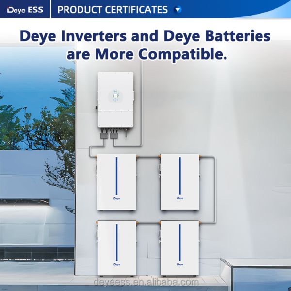 Deye RW-M6.1 LiFePO4 51.2V 100Ah 120Ah 5.53KWH Energy Storage Wall-Mounted Solar System 6.14KWH Hv Battery From Deye Power