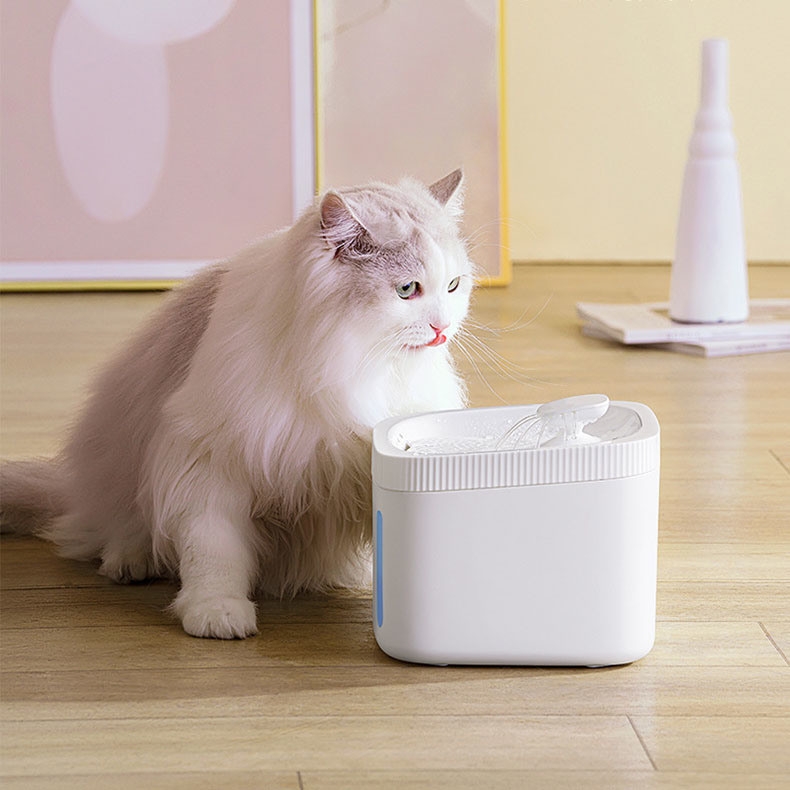 3L Stainless Steel Pet Water Dispenser Popular Cat Water Fountain with Return refunds