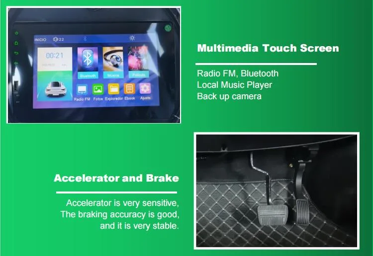 Raysince new design Adult electric car with right hand drive steering