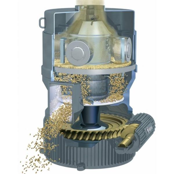 Fuel Eucalyptus Wood Pellets Machine Vertical Ring Die 3t/ H