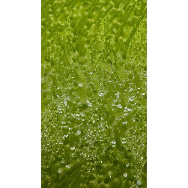 Tejido de bordado de pañuelo duradero y elegante Tejido de bordado de lujo Oportunidades de cumpleaños de bodas de alta calidad Tejido de encaje de pañuelo