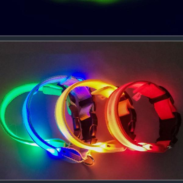 Anti Loss Glowing Dog Collars Polyester Luminous Dog Collars Feature Lights