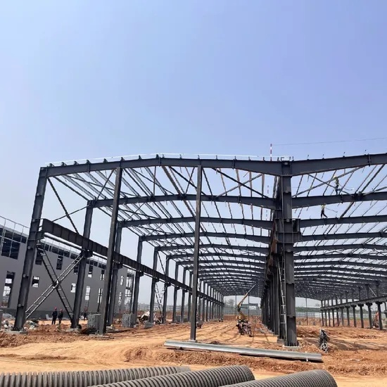 Customizable Steel Warehouse Solutions with Diverse Paint Options