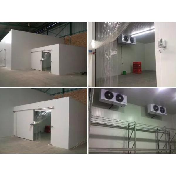 Chicken Blast Freezer Room, Walk in Cooler Room, Industrial Blast Freezers Storage