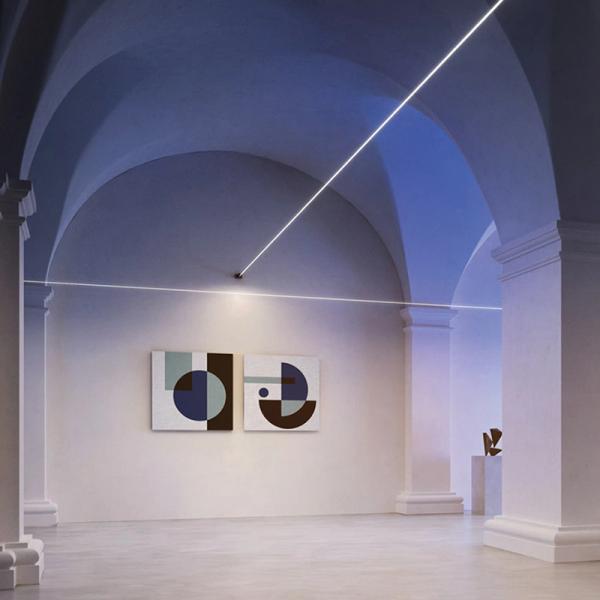 黒いポリ塩化ビニールのスカイライン ライト付属品のstarlineの線形ライトが付いているステンレス鋼のストリップ