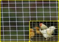 1/2 ' X 1/2” Mesh Rolls For Breeding Protection soldado de aço inoxidável de grande resistência