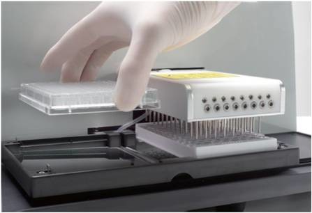 Microplate Washer PW-960: 48/96-Well ELISA, TRFIA, & Chemiluminescence