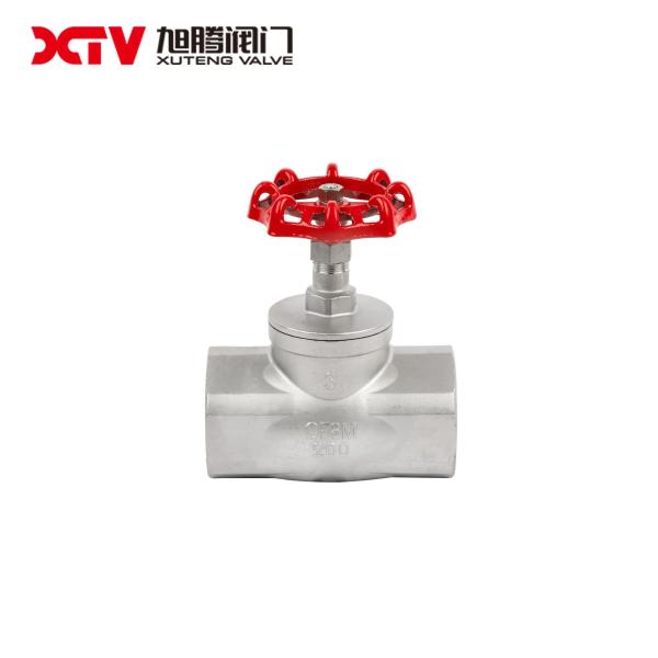 1500wog NPT End SS304 Globe Valve for Pump System 30-Day Refund Guarantee