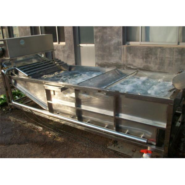 Professional Industrial Fruit Washing Machine High Performance With Bubble