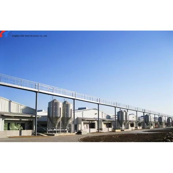 Hot-Dip Galvanized Custom Size Anti-Corrosion Steel Poultry House for Livestock Cow Shelter