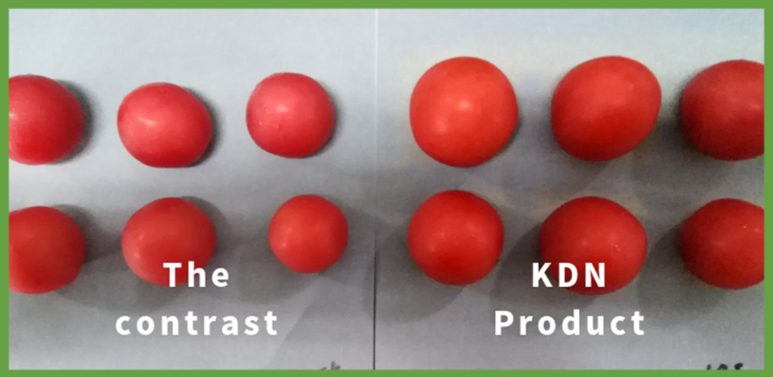 Agricultural Probiotics Clay Soil Amendment