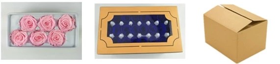 Wholesale preserved rose flower boxes from ecuador farm Real natural roses