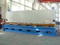 Máquina de corte de alimentação automática 20' da placa por muito tempo tesoura hidráulica da guilhotina do CNC