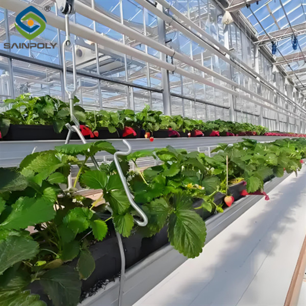 SAINPOLY Easily Assembled Fruit Growing Greenhouse Strawberry Production