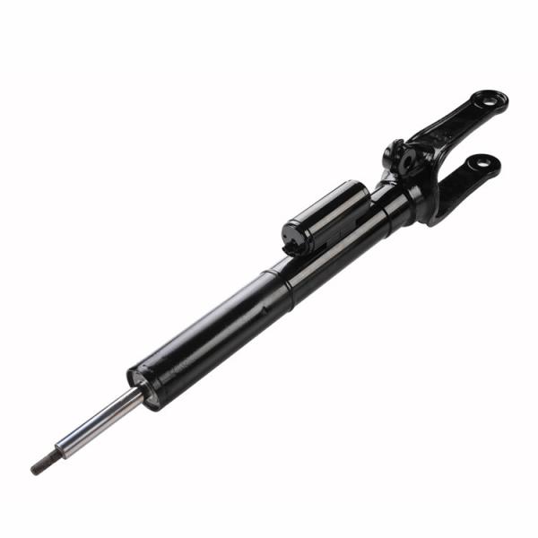 Germany Auto Parts Air Suspension System 2513200730 Air Suspension Strut