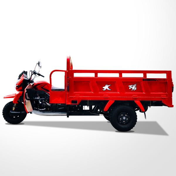 800W DAYANG DY-R1 RUITENG 250cc Tricycle cargo pour lourds CCC Trois roues moto