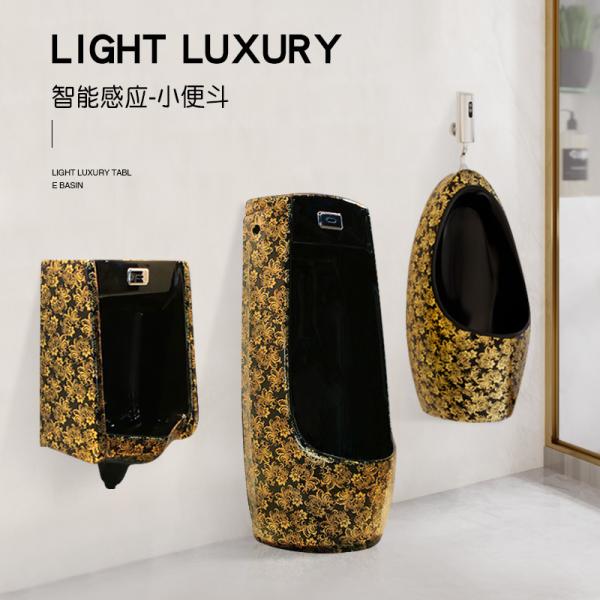 Топить силы тяжести писсуара туалета керамических золотых гальванизируя людей