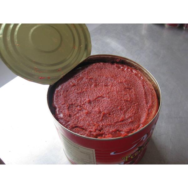 4500g tomato paste in can