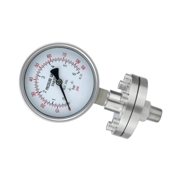 Thread G Connection 304 Stainless Steel Diaphragm Pressure Gauges for Hydraulic System