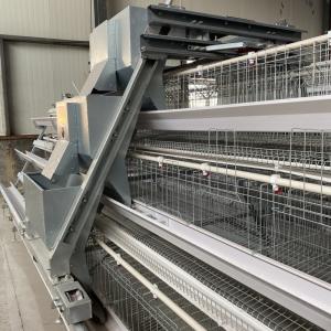 feuille galvanisée plongée chaude du système Q235 d'alimentation de volaille de