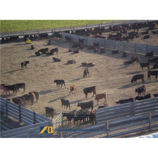 Low Phosphorus Content High Protein Fish Meals for Safe Cargo Transport