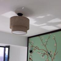Contrôle contemporain de commutateur de la lumière AC265V de pendant de salle à manger de chambre à coucher