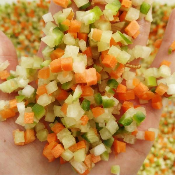 110V/220V Vegetable Dice Cutting Machine for Hotels 510*600*1310mm Easy Operation
