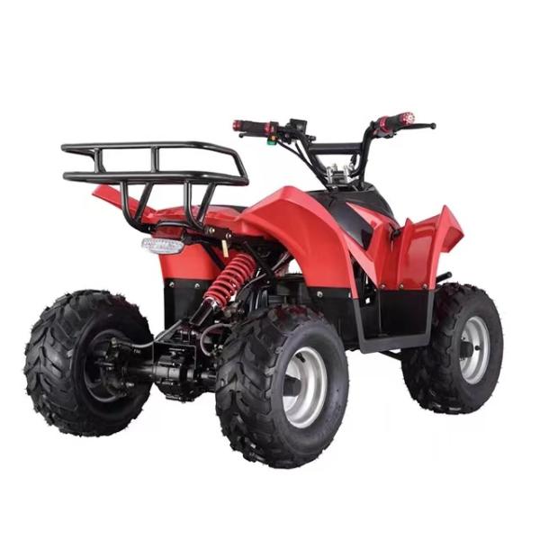 Electric Mountain Truck Off-Road Vehicle with Rear Disc Brake and 600-1000mm Wheelbase