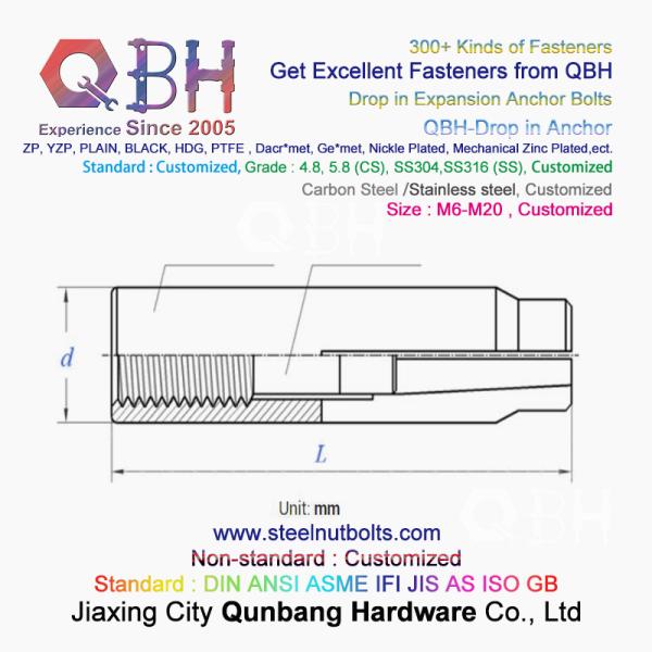 QBH GB /T 22795 (NP) - 2008 M6-M20 SS304 SS316 Stainless Steel Drop In Expansion Anchor