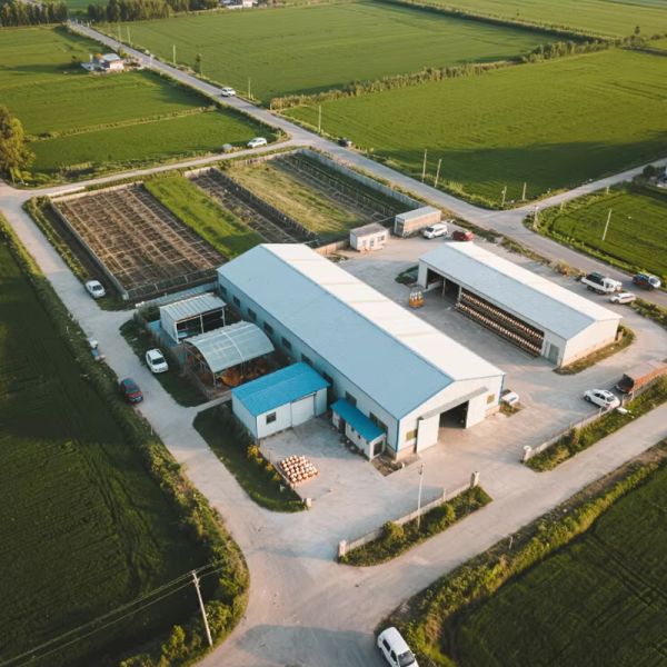 Professional Light Steel Structure Agricultural Farm Workshops Custom Poultry Farm House