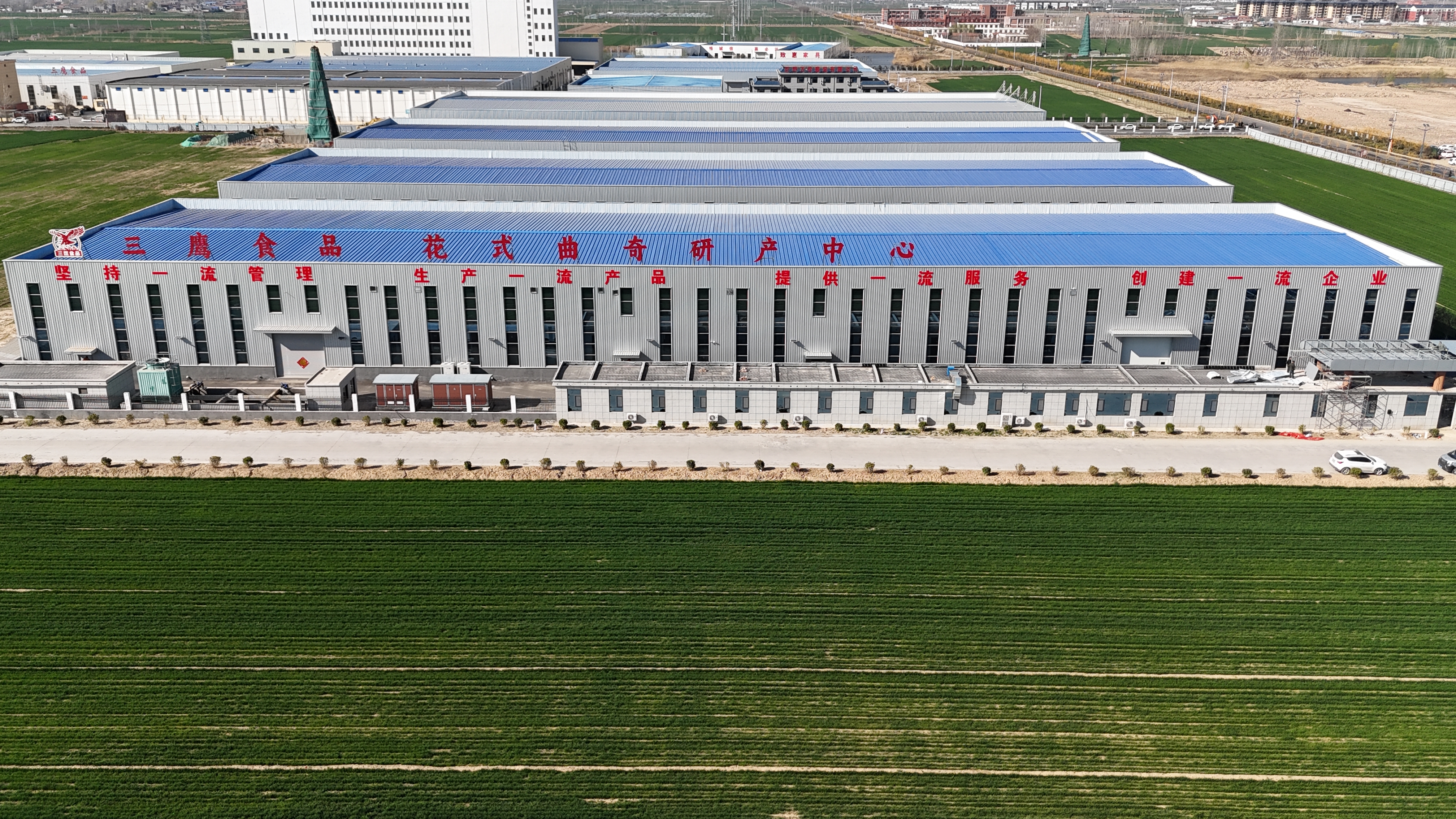 Shandong Sanying Food Technology Group Co., Ltd.