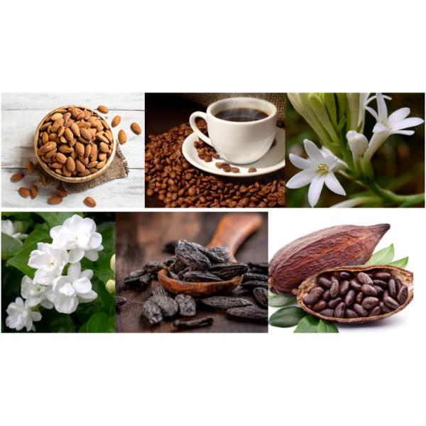 Bonne fille essence de parfum pour parfumer faire concentré lieu sec frais et frais protégé